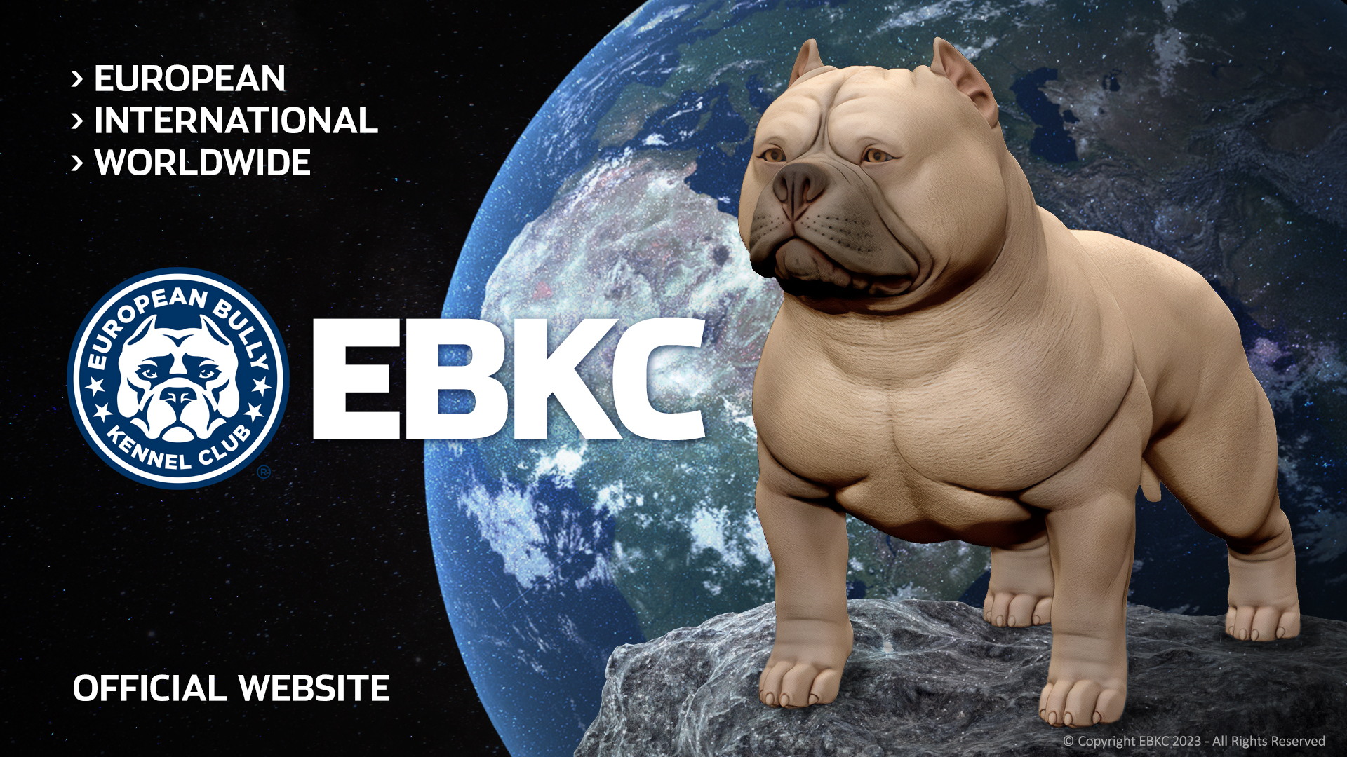 American Bully — EBKC – European Bully Kennel Club